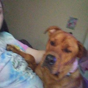 Meet your Posher, Veronica